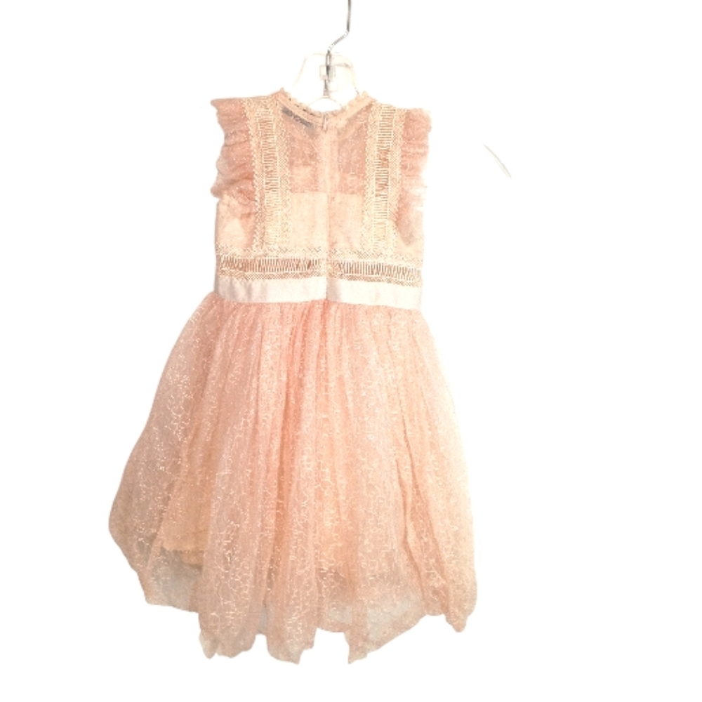 Trish Scully - Elegant Peach Lace Dress - Size 3 - Picture 4 of 6